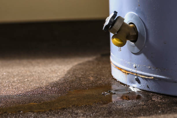 Best Water damage contractors near me  in Haines, AK