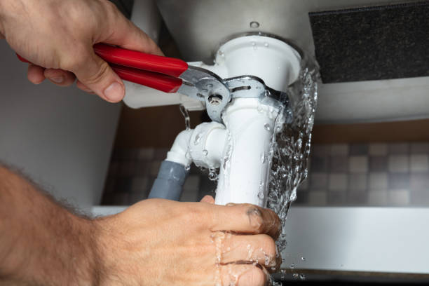 Best Emergency water damage restoration  in Haines, AK