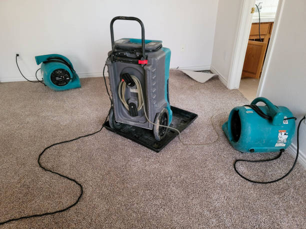  Haines, AK Water damage restoration Pros