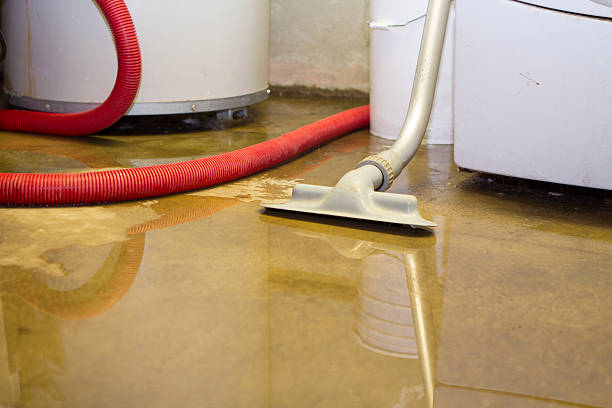 Best Sewage cleanup and water damage restoration  in Haines, AK